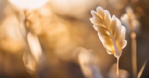 Znaczenie imienia Anastazja: Piękno, siła i co kryje się za tym imieniem