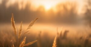 Aurora znaczenie imienia: Tajemnice, historia i symbolika