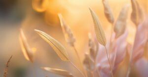 Ewelina znaczenie imienia: Co skrywa Twoje imię?